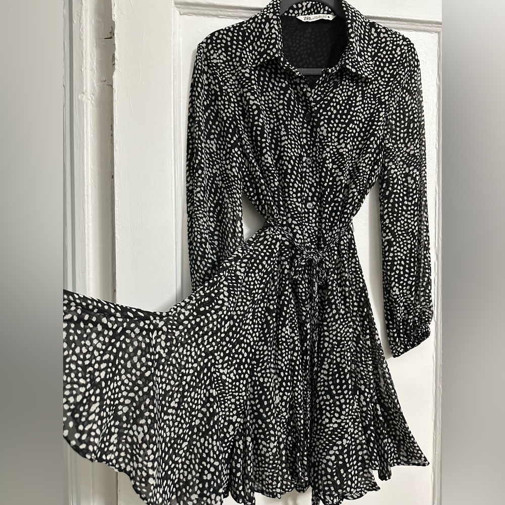 Zara Long Sleeve Dress